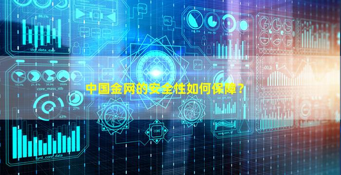 中国金网的安全性如何保障？